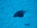 Unter Wasser (42)